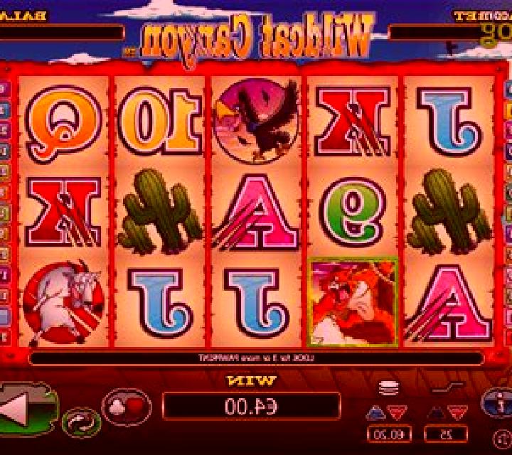 Wild Cat Canyon slot