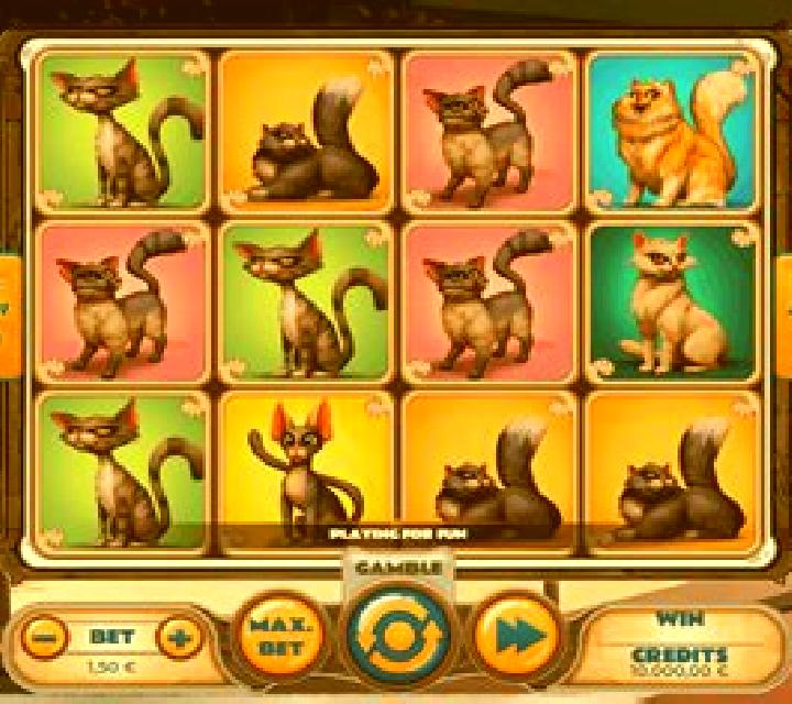 Wild Cat slot