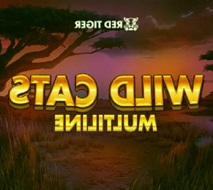 Wild Cats Multiline online slot