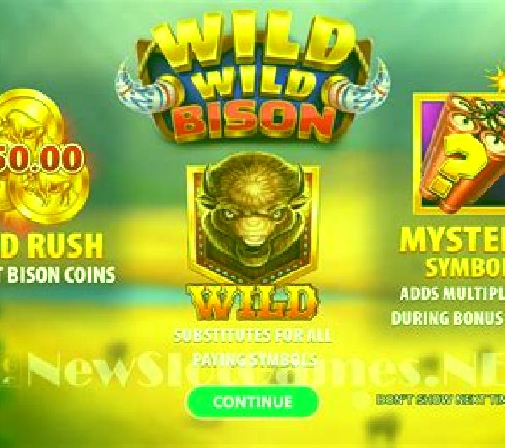 Wild Christmas (StakeLogic) online slot