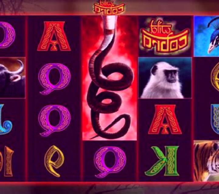 Wild Cobra slot