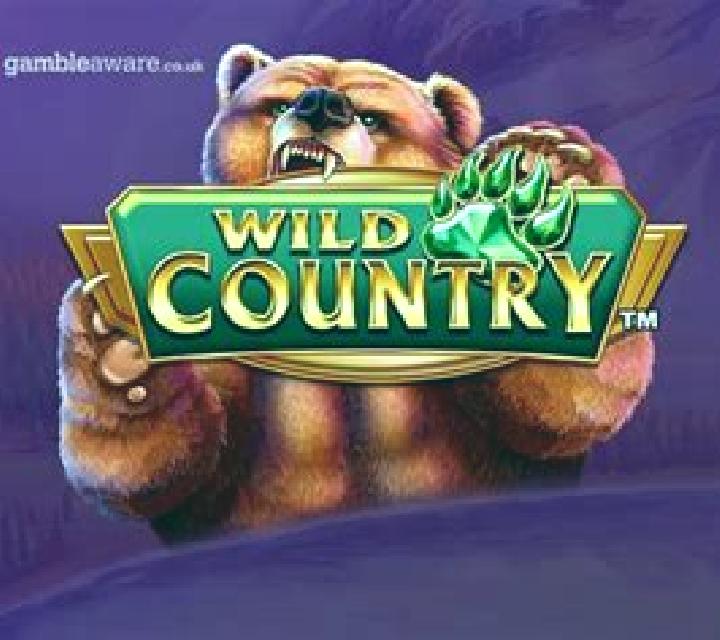 Wild Country slot game