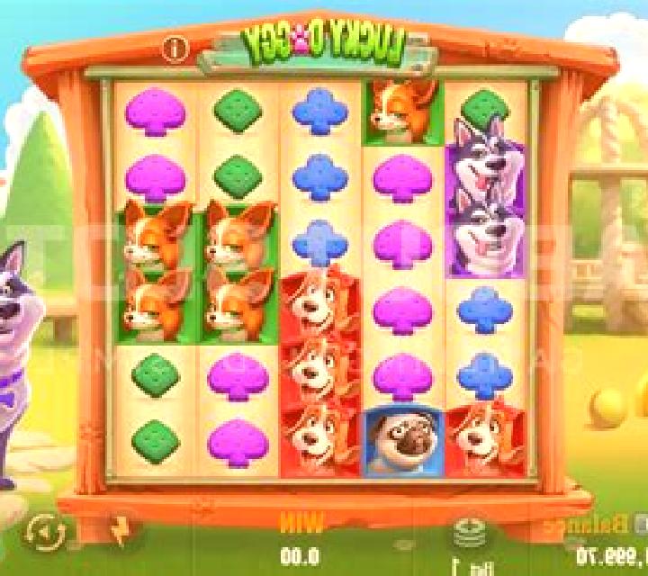 Wild Dog slot game