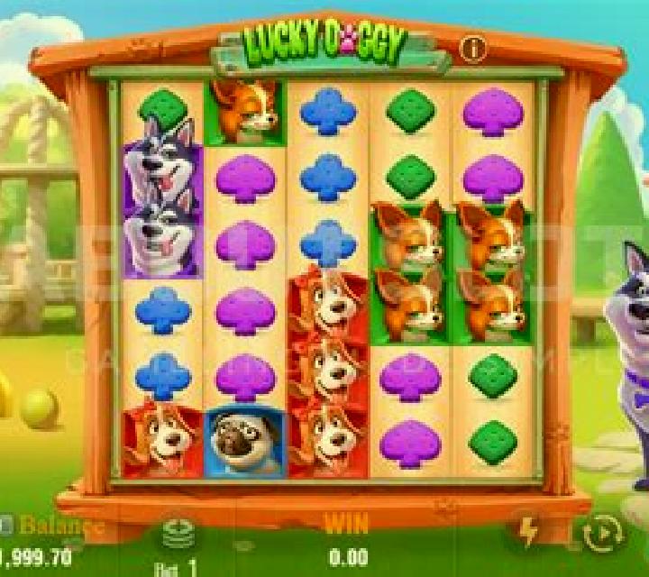 Wild Dog slot machine
