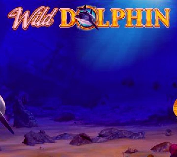 Wild Dolphin slot game