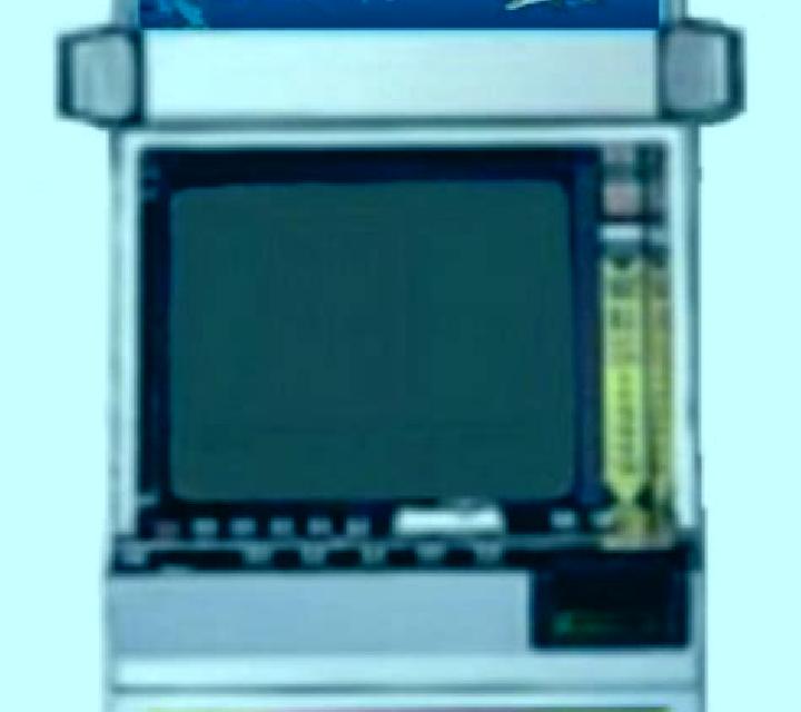 Wild Dolphins online slot
