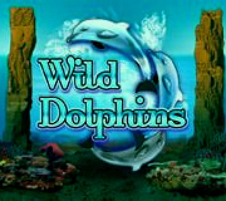 Wild Dolphins slot machine