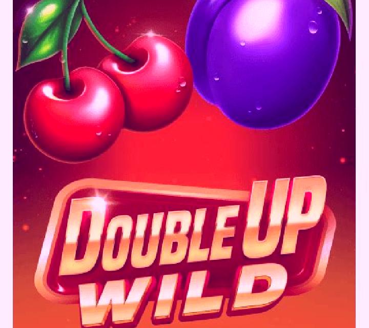 Wild Double Up (Slotopia) slot