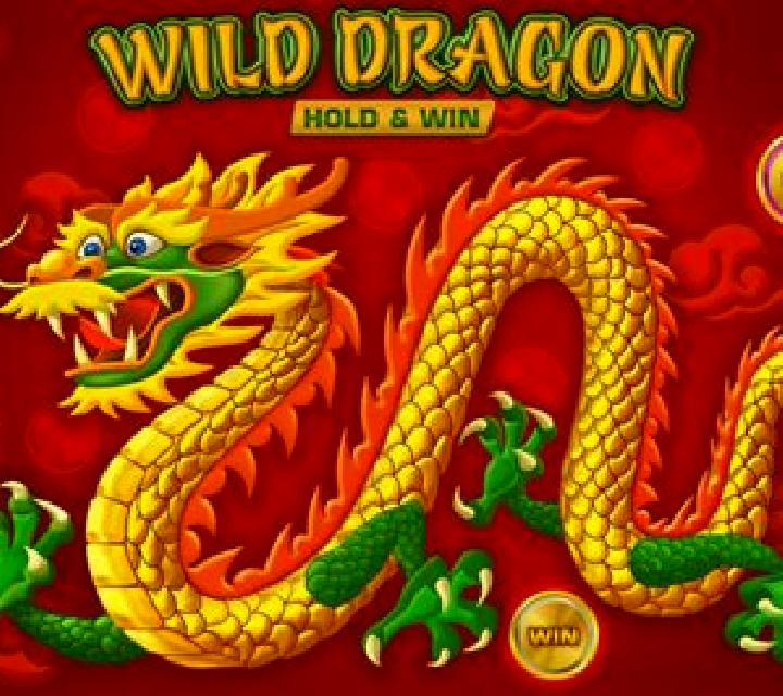 Wild Dragon (Amatic) online slot