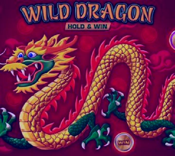 Wild Dragon (Amatic) slot game