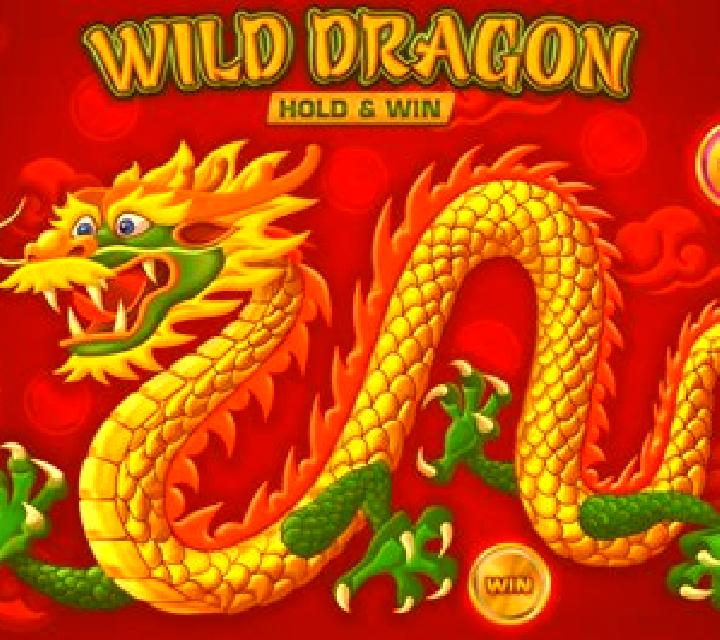 Wild Dragon (Amatic) slot machine