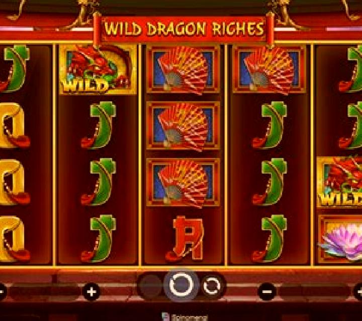 Wild Dragon Riches slot game