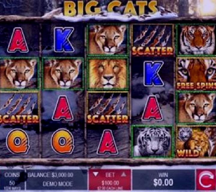 Wild Extra Cats online slot