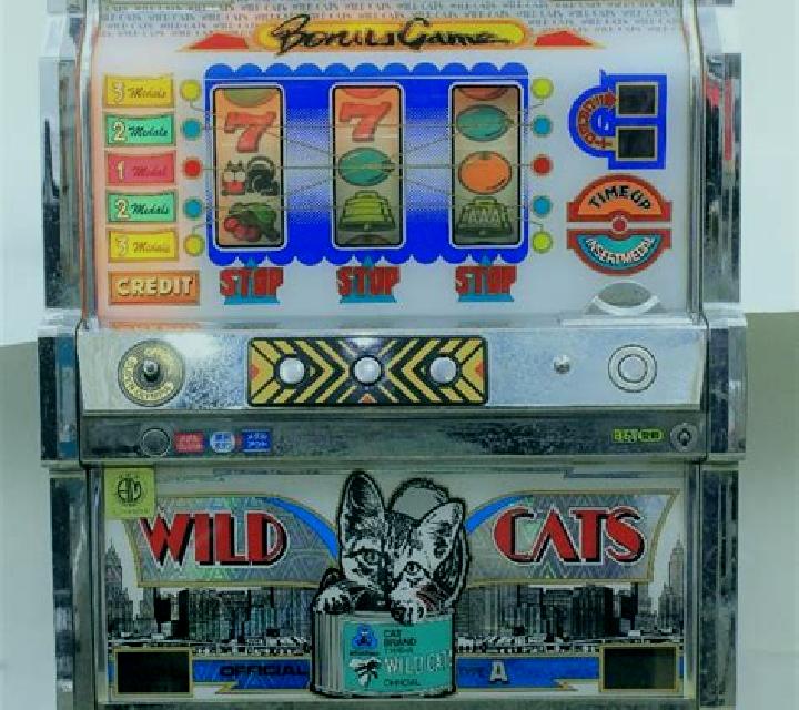 Wild Extra Cats slot game