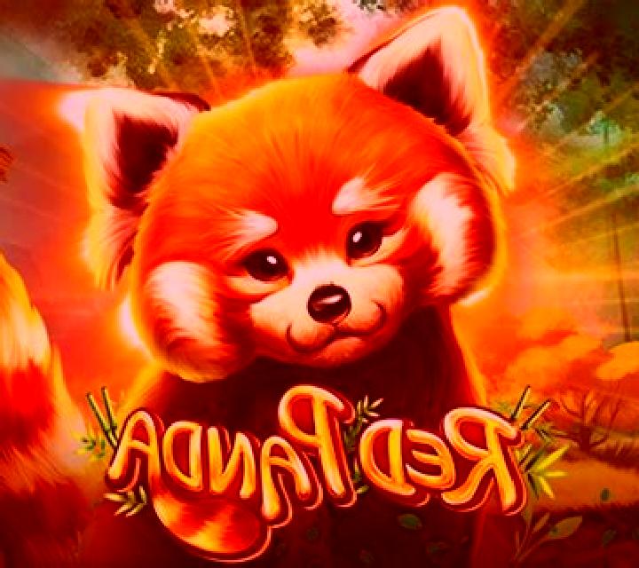Wild Fairies (Red Panda) slot game