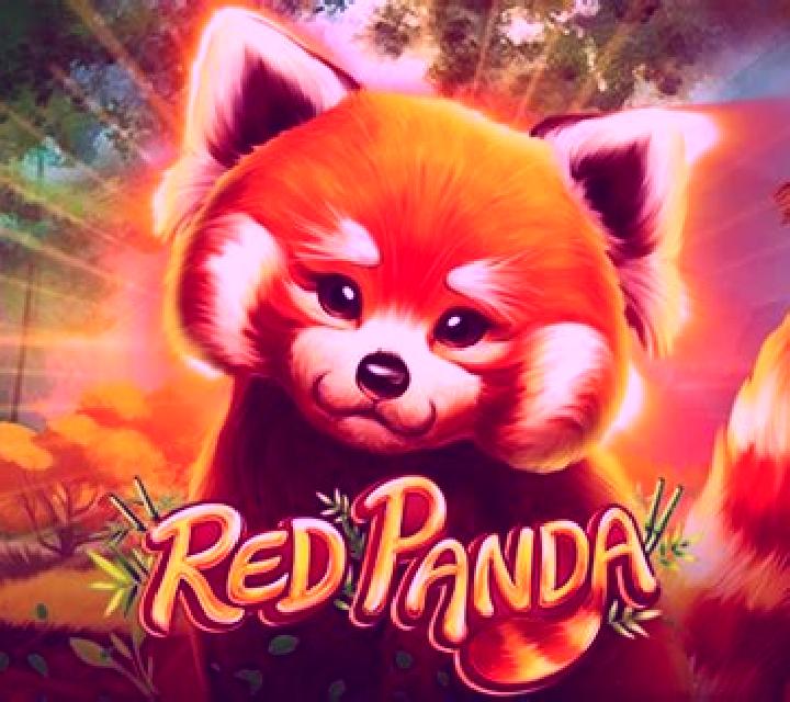 Wild Fairies (Red Panda) slot