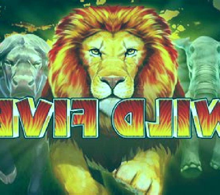 Wild Five slot game