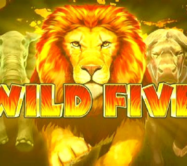 Wild Five slot machine