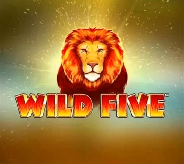 Wild Five slot