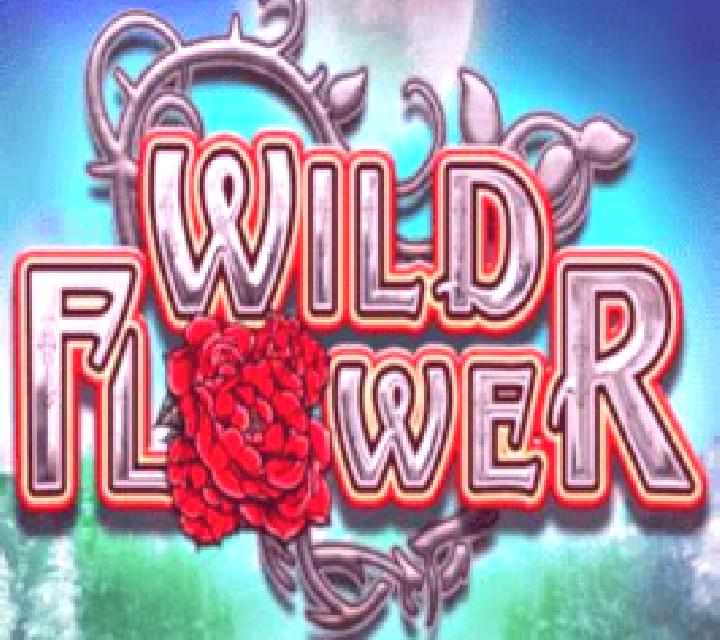 Wild Flower online slot