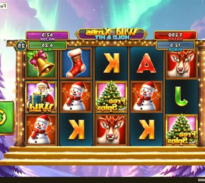 Wild Forties Xmas slot game