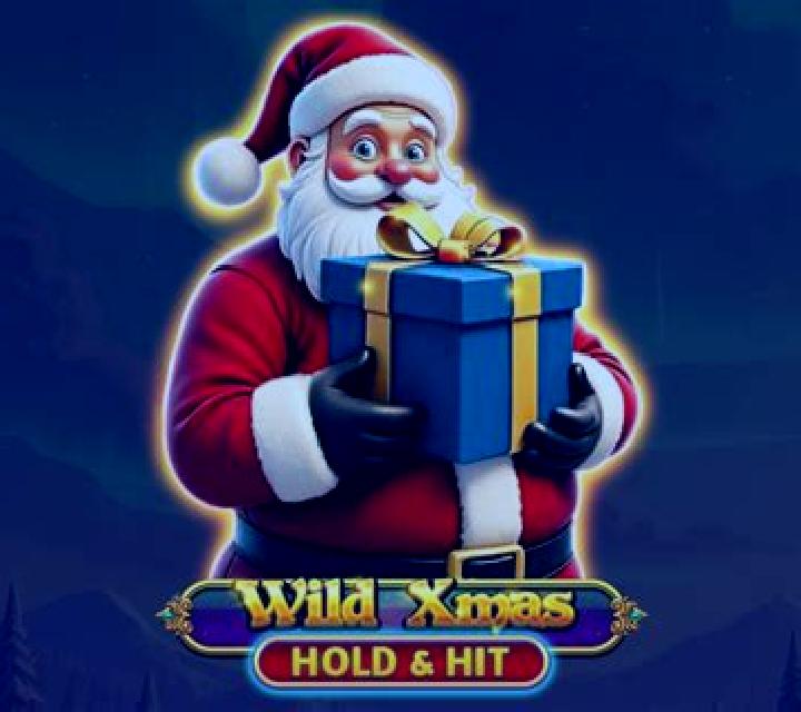 Wild Forties Xmas slot