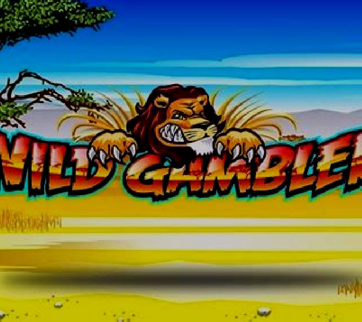 Wild Gambler slot game