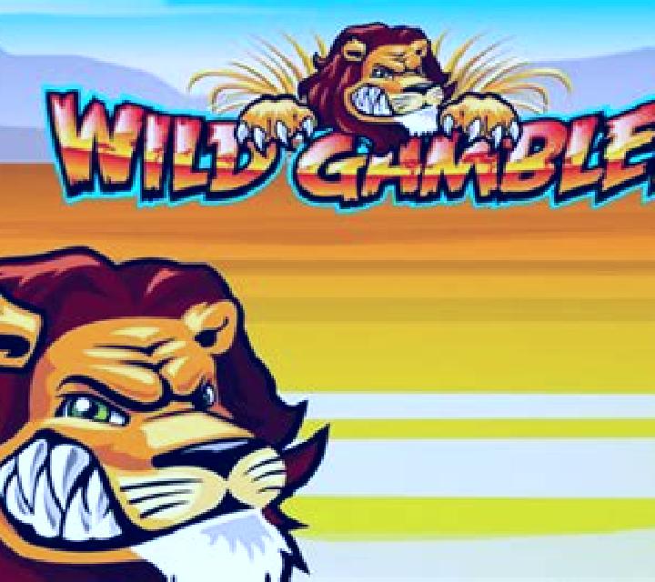 Wild Gambler slot machine