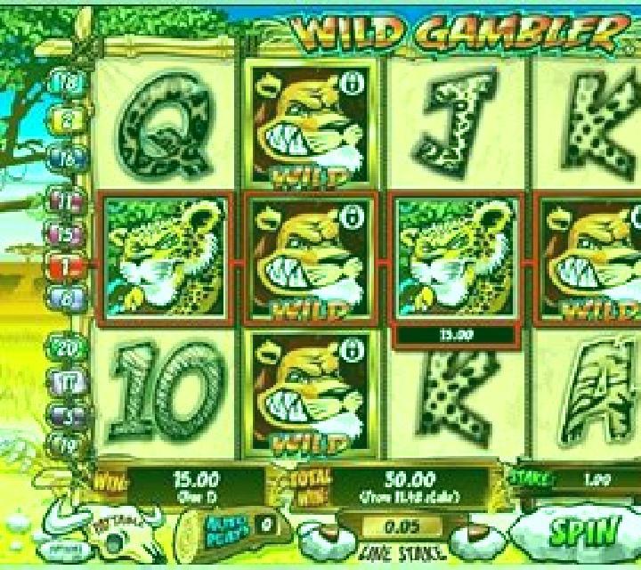 Wild Gambler slot