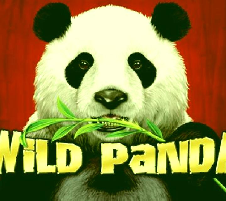 Wild Giant Panda online slot
