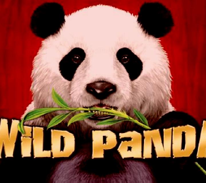 Wild Giant Panda slot game
