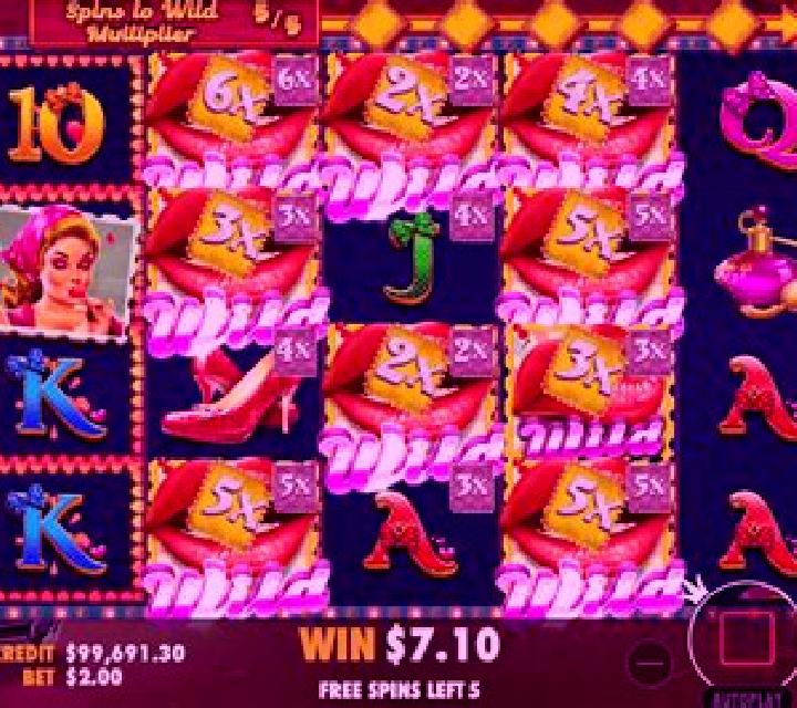 Wild Girls slot game
