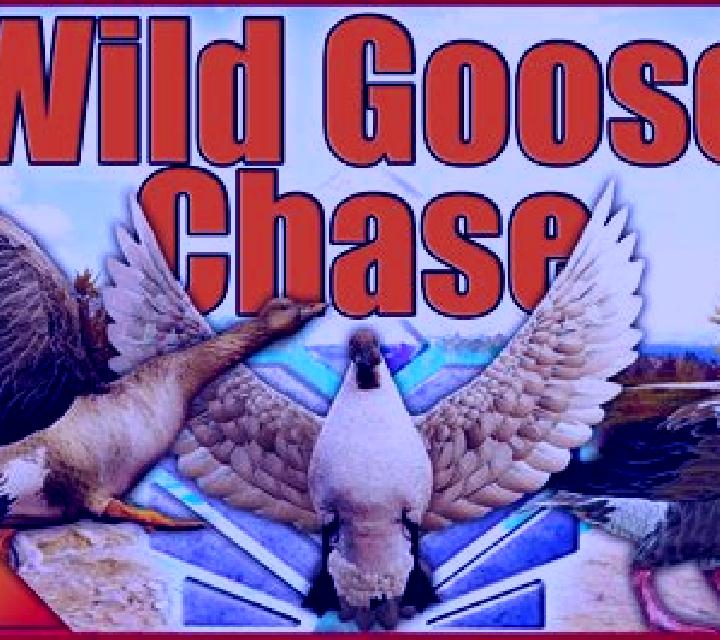 Wild Goose Chase online slot