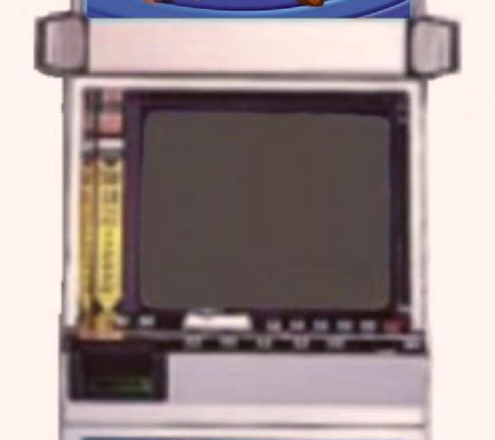 Wild Goose Chase slot machine