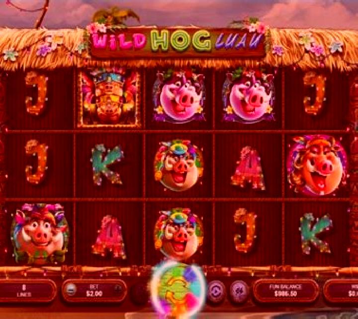 Wild Hog Luau slot game