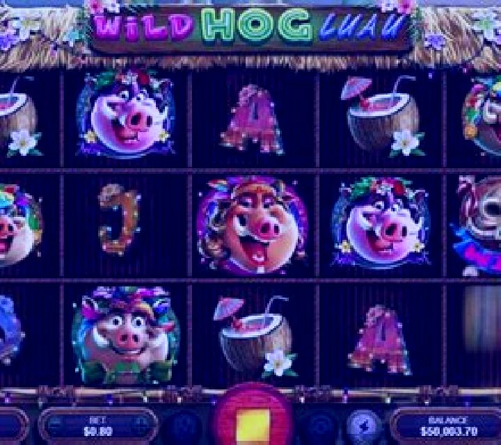Wild Hog Luau slot machine