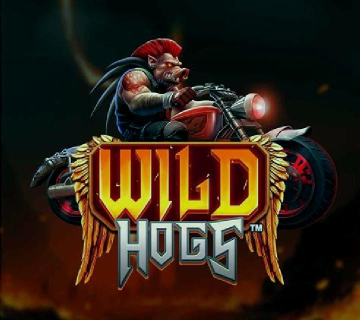 Wild Hogs online slot