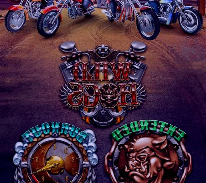 Wild Hogs slot