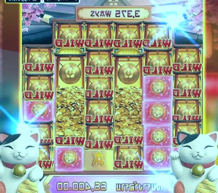 Wild Japan slot game