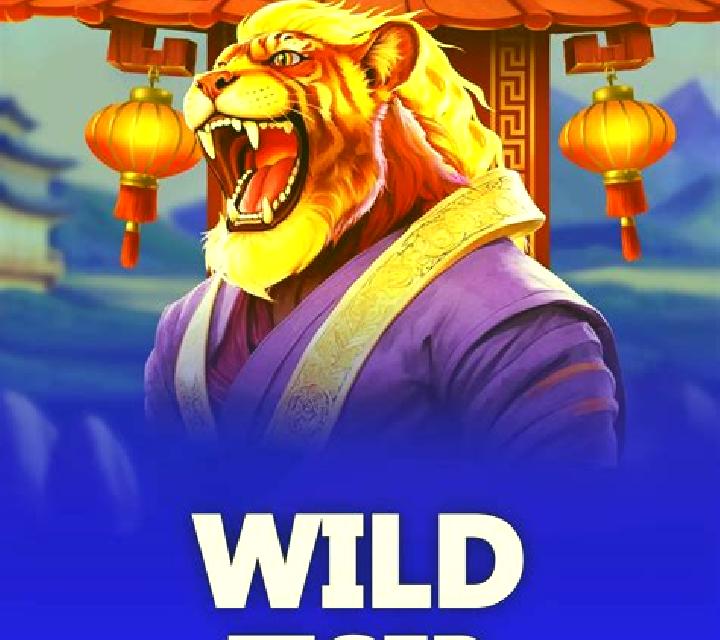 Wild Joe Gunfighter slot game