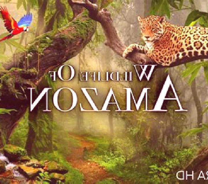 Wild Jungle (KA Gaming) online slot