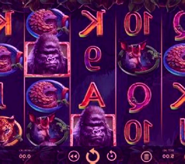 Wild Kingdom slot game
