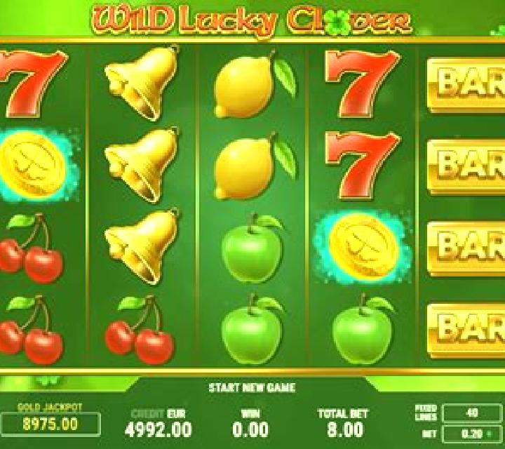 Wild Lucky Chance slot game