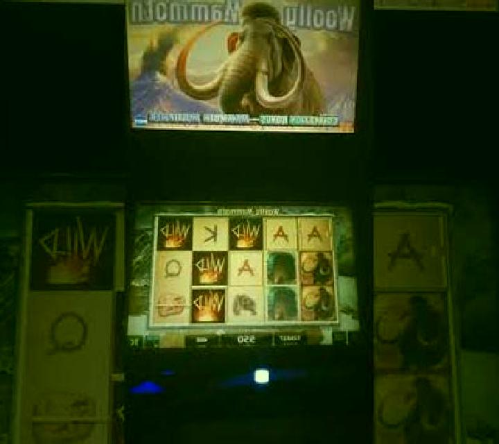 Wild Mammoth slot machine