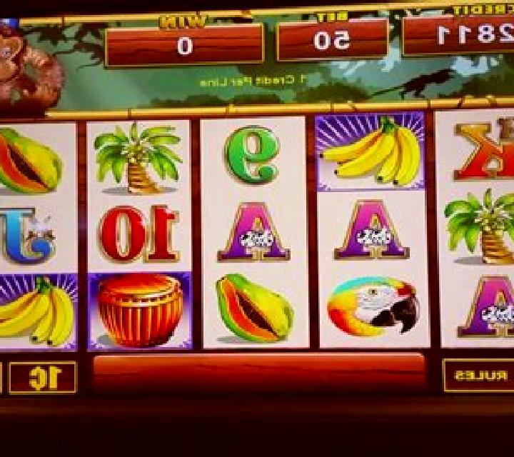 Wild Monkey slot