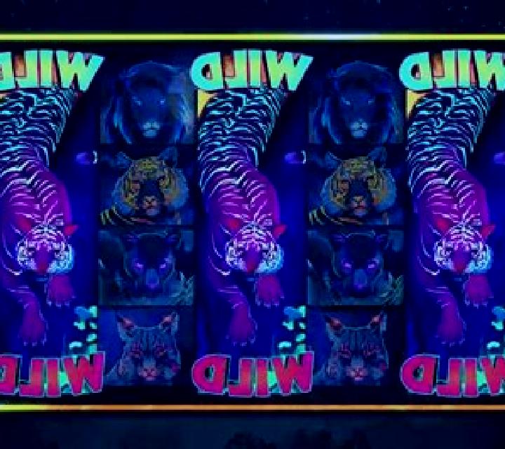 Wild Nights slot game