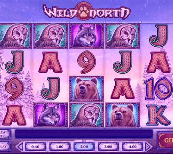 Wild North (Play’n Go) slot game