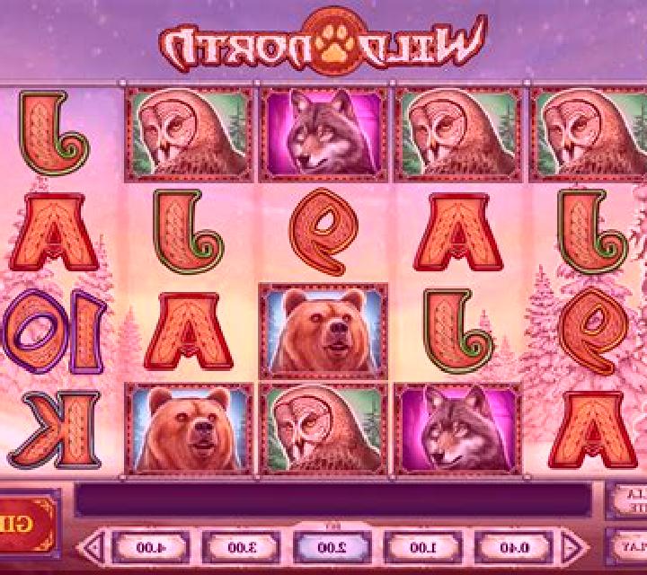 Wild North (Play’n Go) slot machine