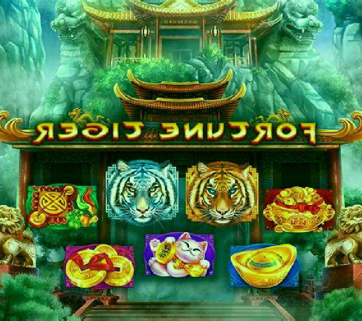 Wild One slot game