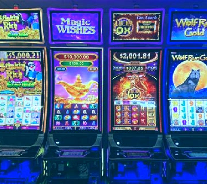 Wild One slot machine
